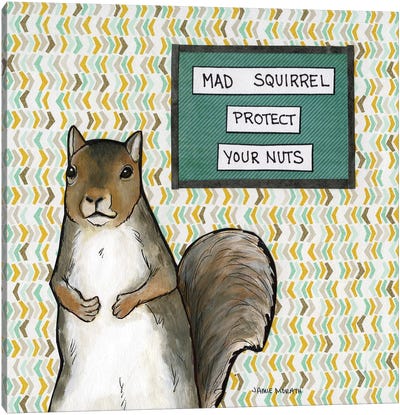 Mad Squirrel Canvas Art Print - Squirrel Art
