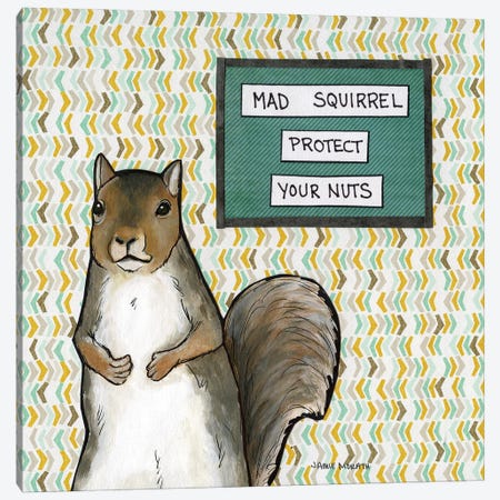 Mad Squirrel Canvas Print #MRH636} by Jamie Morath Canvas Wall Art