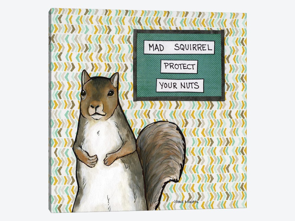 Mad Squirrel by Jamie Morath 1-piece Canvas Print
