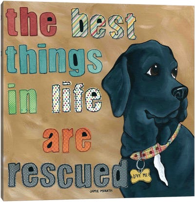Love Me Canvas Art Print - Rescue Dog Art