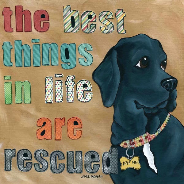 Pet Adoption & Fostering: Love Me by Jamie Morath