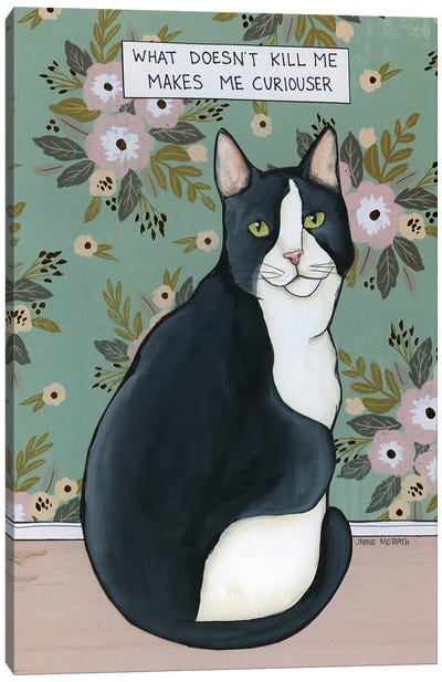 Curiouser II Canvas Art Print - Tuxedo Cat Art