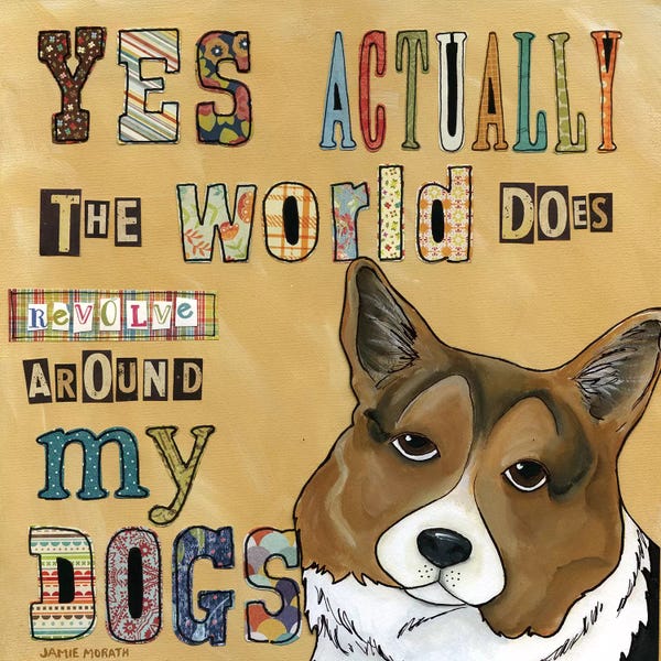 Corgis: Around My Dog by Jamie Morath