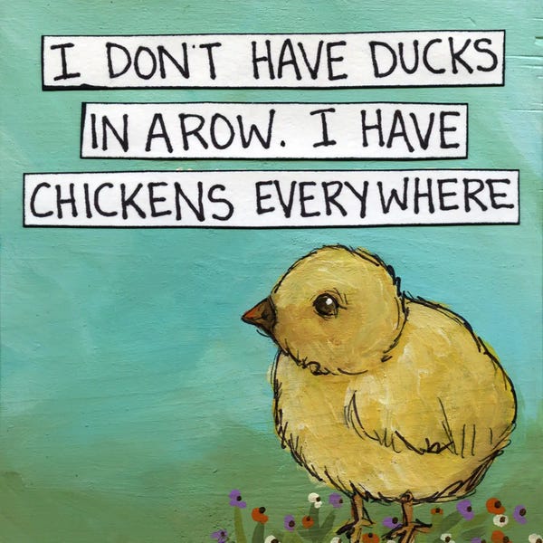 Jamie Morath: Chickens Everywhere by Jamie Morath