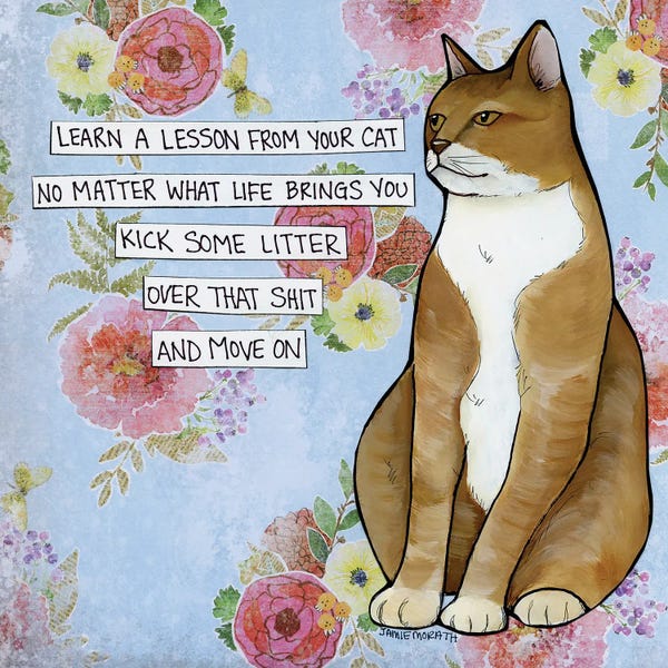 Orange Cats: Move On by Jamie Morath