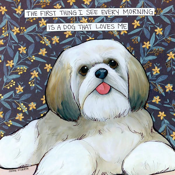 Office Humor: Every Morning Shihtzu II by Jamie Morath
