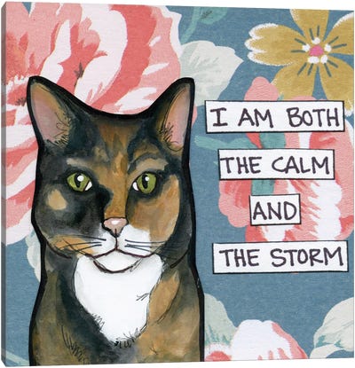 Calm And Storm II Canvas Art Print - Jamie Morath