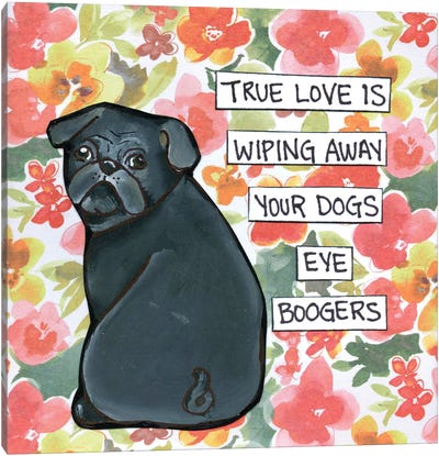 Eye Boogers Pug Canvas Art Print - Crude Humor Art