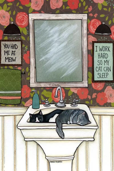 So My Cat Can Sleep by Jamie Morath acrylic art print