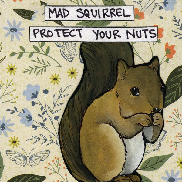 Squirrel