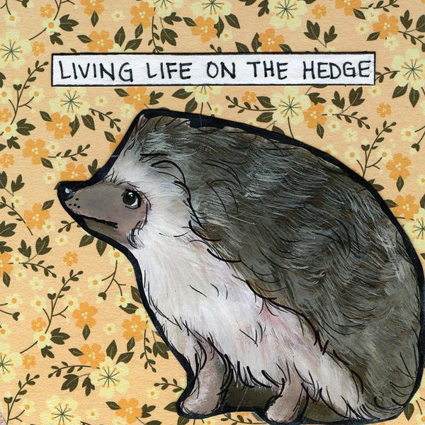 Jamie Morath: Hedgehog by Jamie Morath