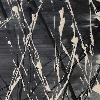 Dark Cloudy Mist II by Merri Pattinian canvas print