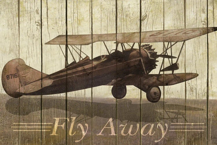 Fly Away by Merri Pattinian wall art