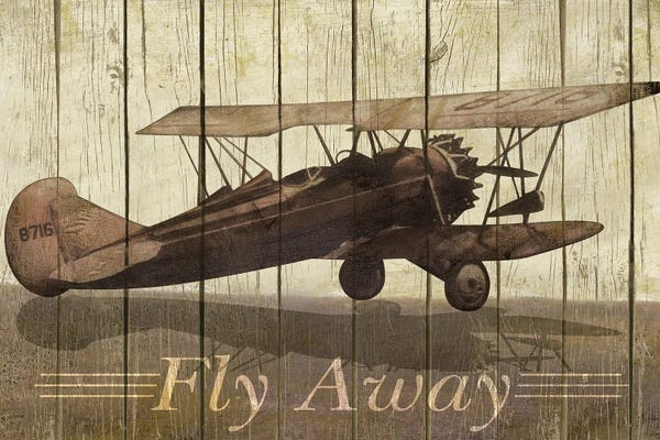 Merri Pattinian: Fly Away by Merri Pattinian