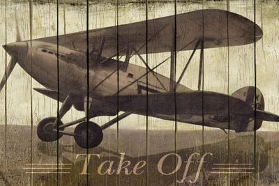Take Off by Merri Pattinian canvas print