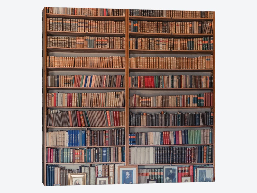 My Library by Miroslaw 1-piece Canvas Print