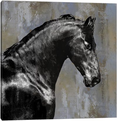 Black Stallion Canvas Art Print