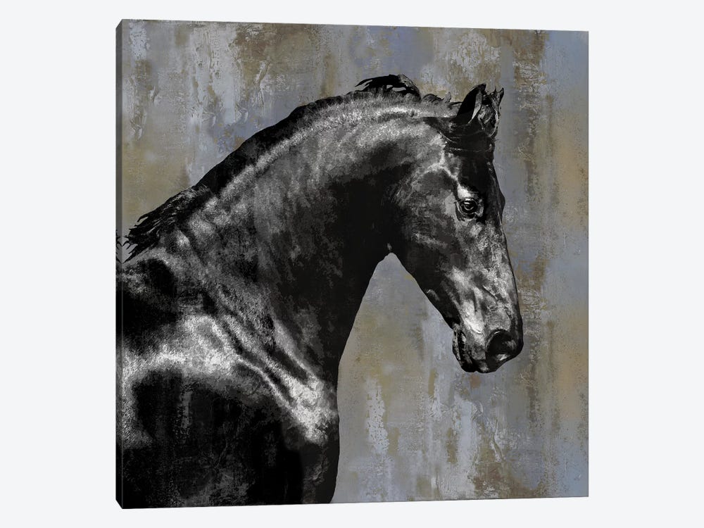 Black Stallion by Martin Rose 1-piece Canvas Artwork