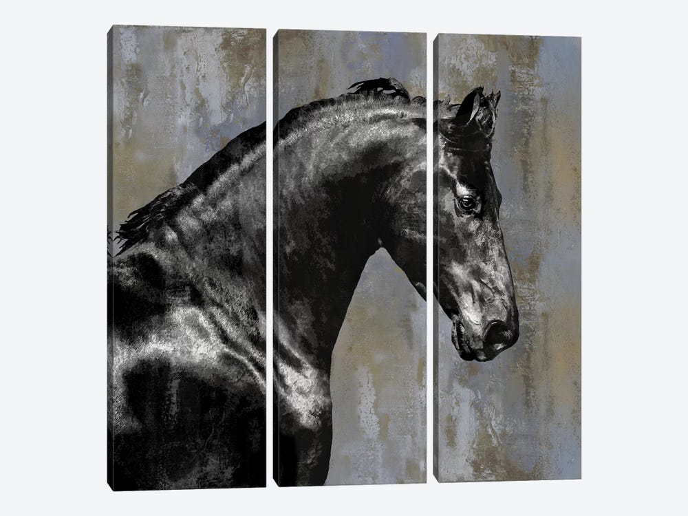 Black Stallion by Martin Rose 3-piece Canvas Wall Art
