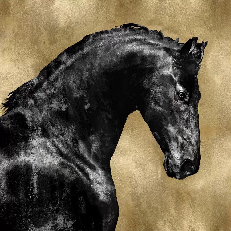 Black Stallion On Gold