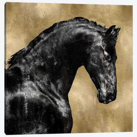 Black Stallion On Gold Canvas Print #MRO2} by Martin Rose Art Print