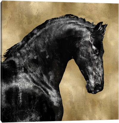 Black Stallion On Gold Canvas Art Print - Horse Art