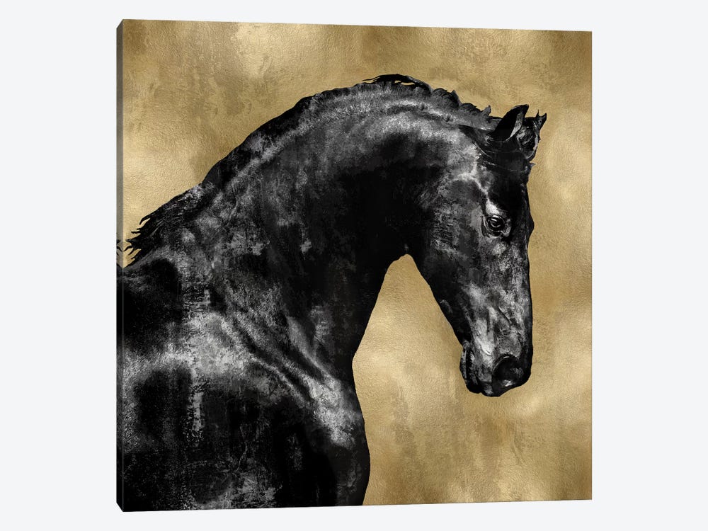 Black Stallion On Gold by Martin Rose 1-piece Art Print