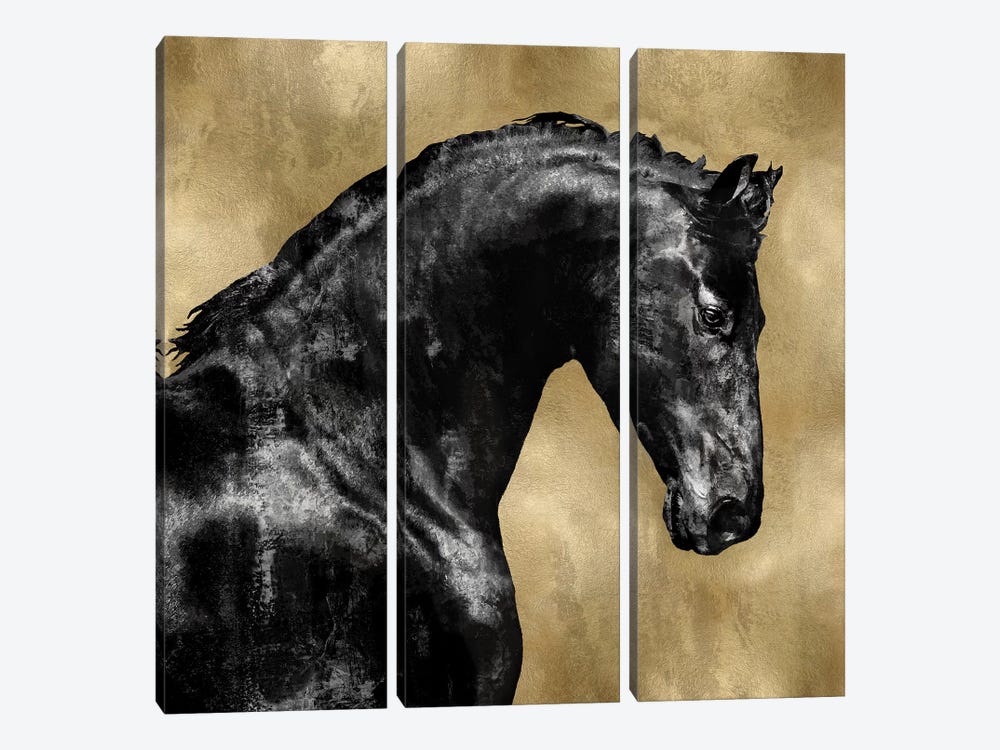 Black Stallion On Gold by Martin Rose 3-piece Art Print