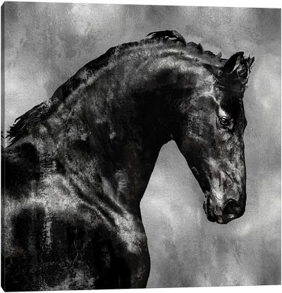 Black Stallion On Silver Canvas Art Print