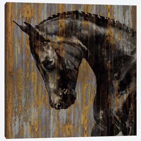 Horse I Canvas Print #MRO4} by Martin Rose Canvas Artwork