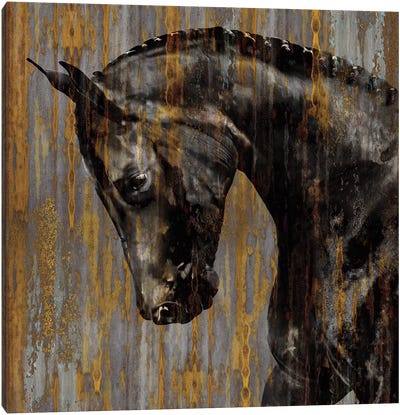 Horse I Canvas Art Print