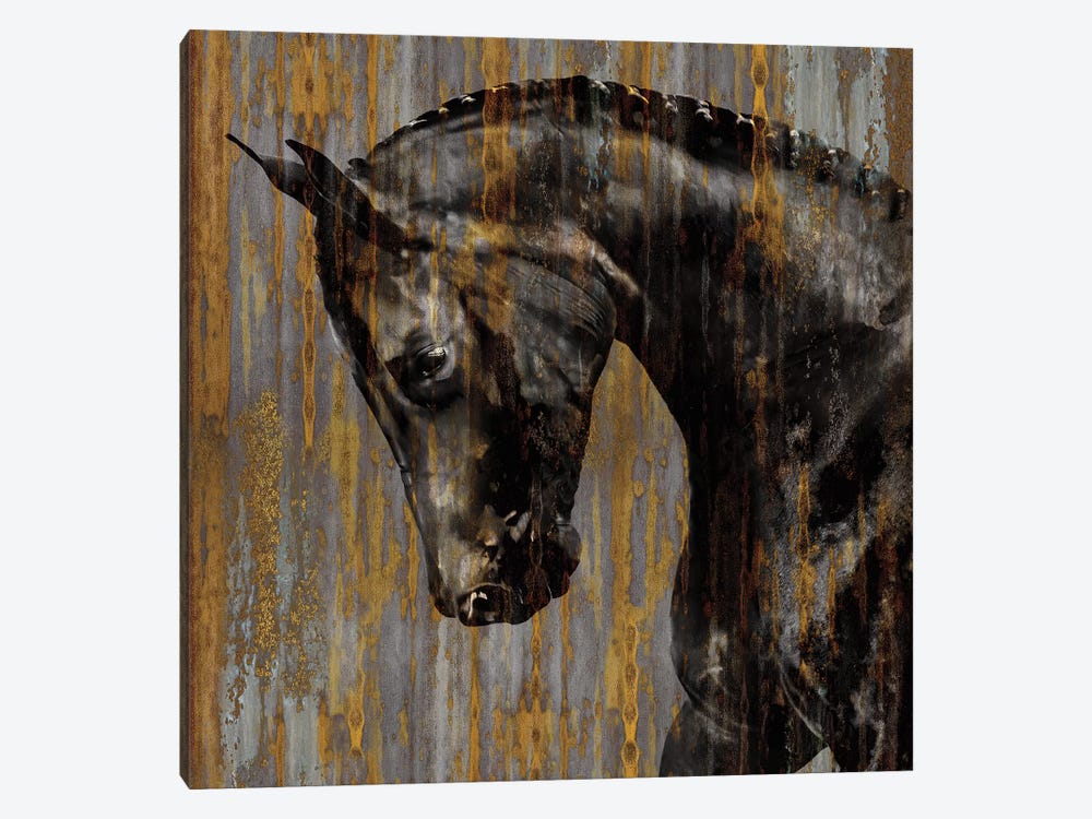 Horse I by Martin Rose 1-piece Art Print