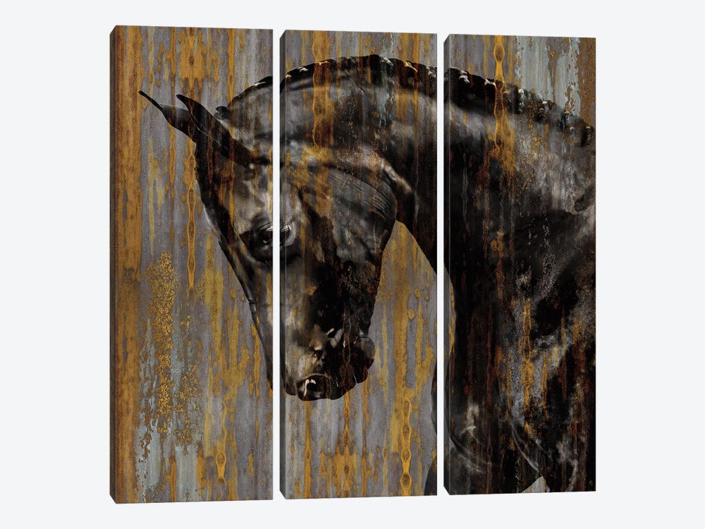 Horse I by Martin Rose 3-piece Canvas Print