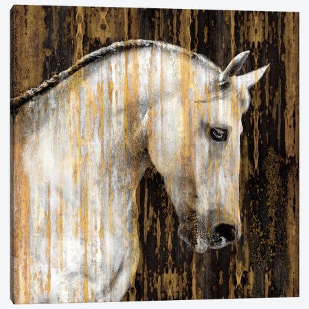Horse II Canvas Print #MRO5} by Martin Rose Canvas Wall Art