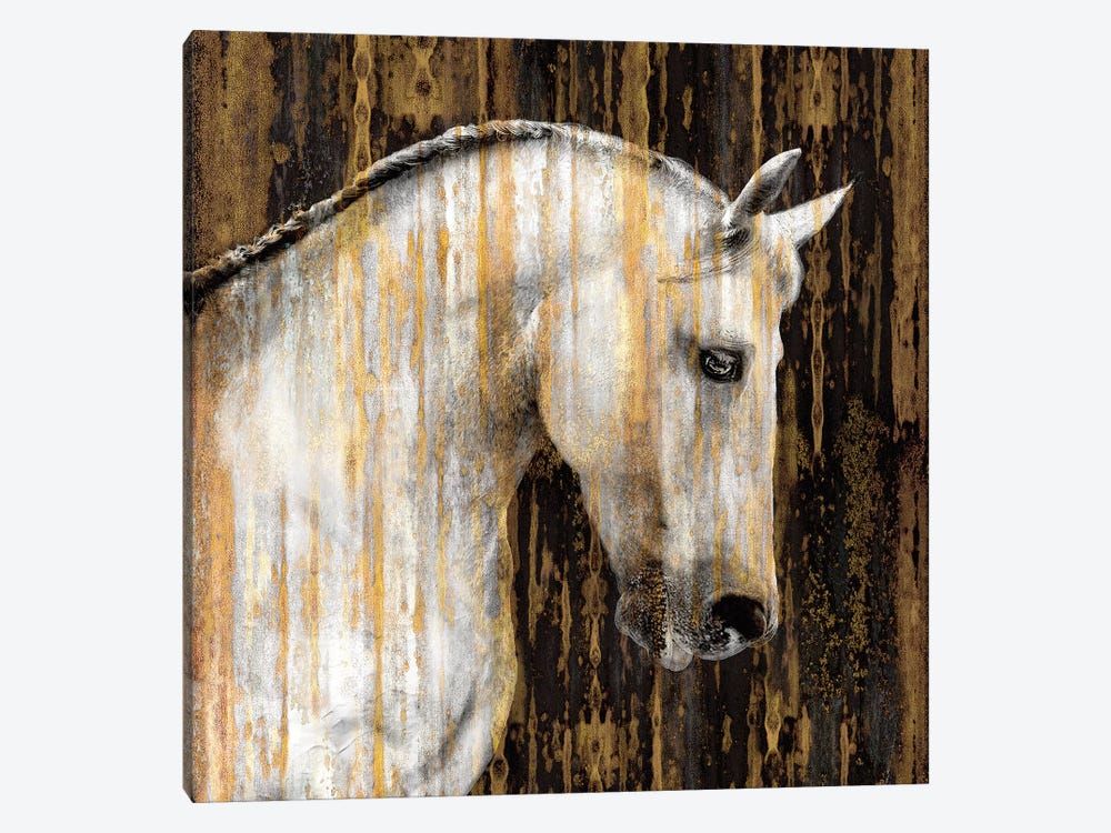 Horse II by Martin Rose 1-piece Canvas Artwork