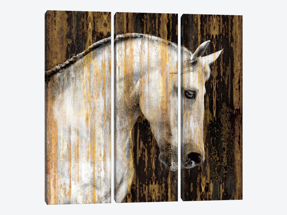 Horse II by Martin Rose 3-piece Canvas Wall Art