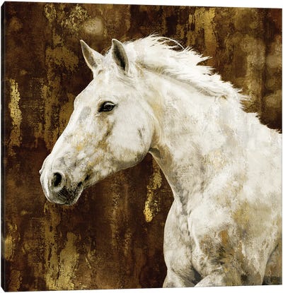White Stallion Canvas Art Print