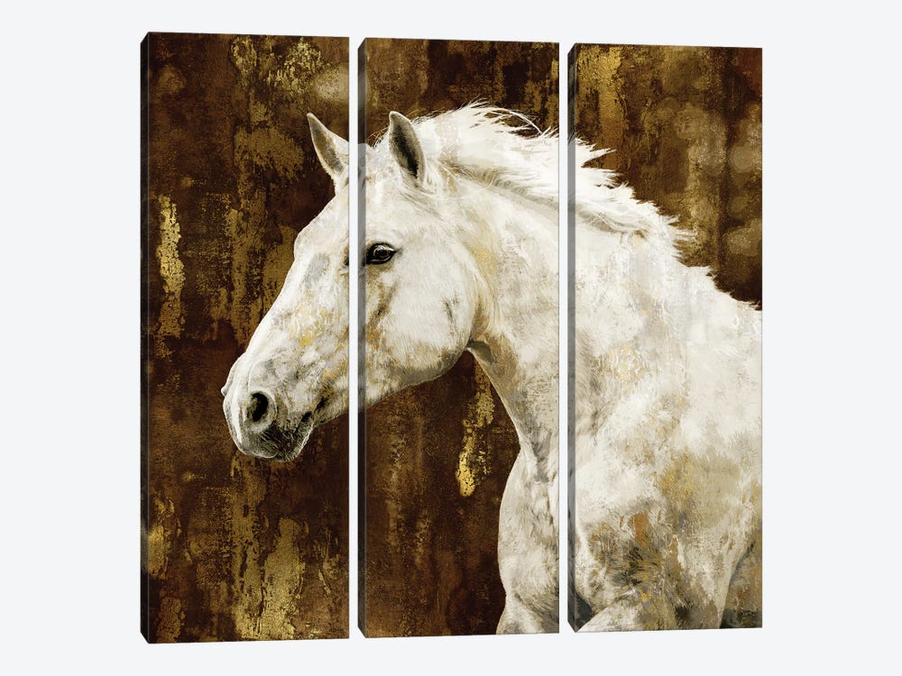 White Stallion by Martin Rose 3-piece Art Print