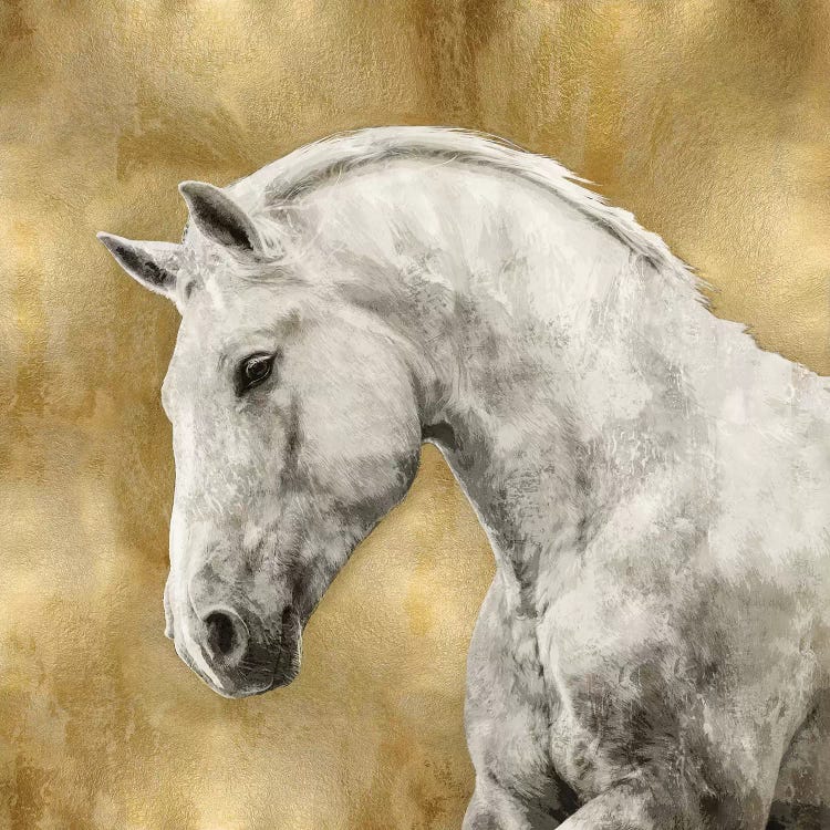 White Stallion On Gold