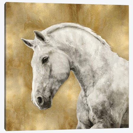 White Stallion On Gold Canvas Print #MRO7} by Martin Rose Canvas Artwork