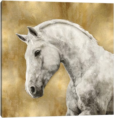 White Stallion On Gold Canvas Art Print