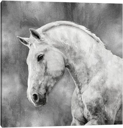 White Stallion On Silver Canvas Art Print
