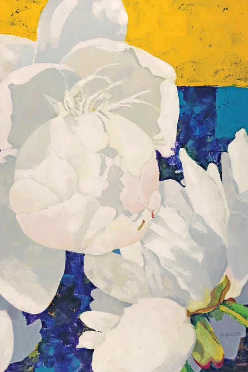 White Peony by Maria Morales wall art