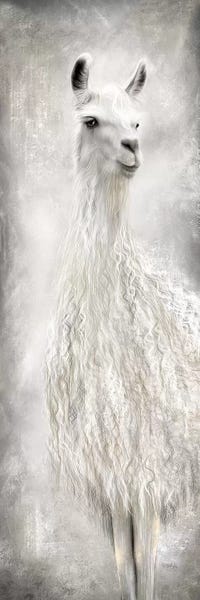 Silver: Lulu the Llama by Marla Rae