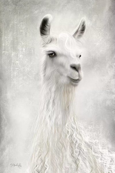 Llamas: Lulu the Llama Up Close by Marla Rae