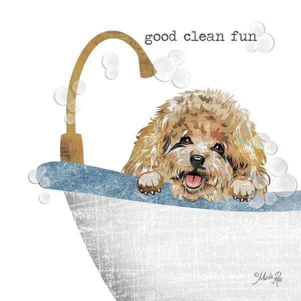 Typography: Good Clean Fun by Marla Rae