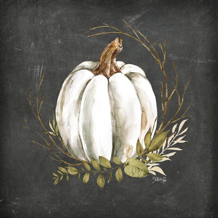 White Pumpkin by Marla Rae canvas print