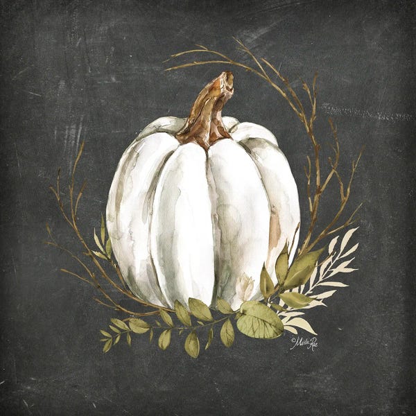 Large Art for Living Room - Canvas Prints: White Pumpkin by Marla Rae