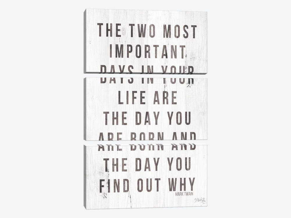 Two Most Important Days by Marla Rae 3-piece Canvas Art