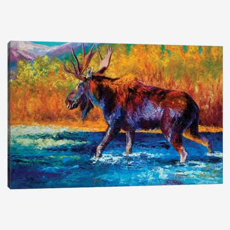 Autumn's Glimpse Moose Canvas Print #MRS10} by Marion Rose Canvas Art